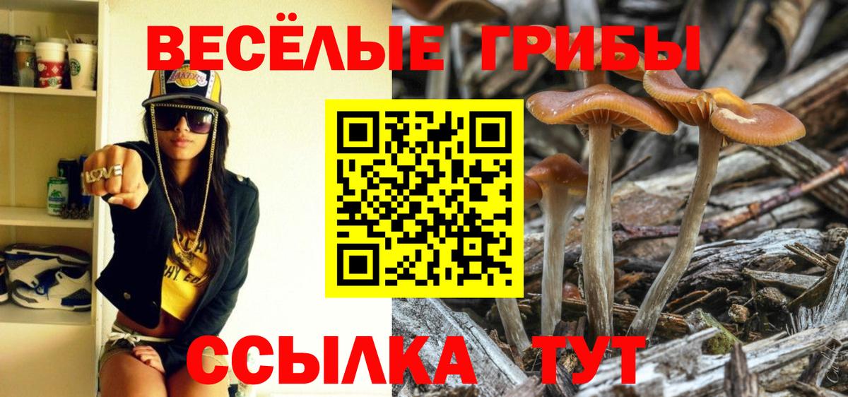 Галлюциногенные грибы Cubensis  где найти   Качканар  Вход с VPN 